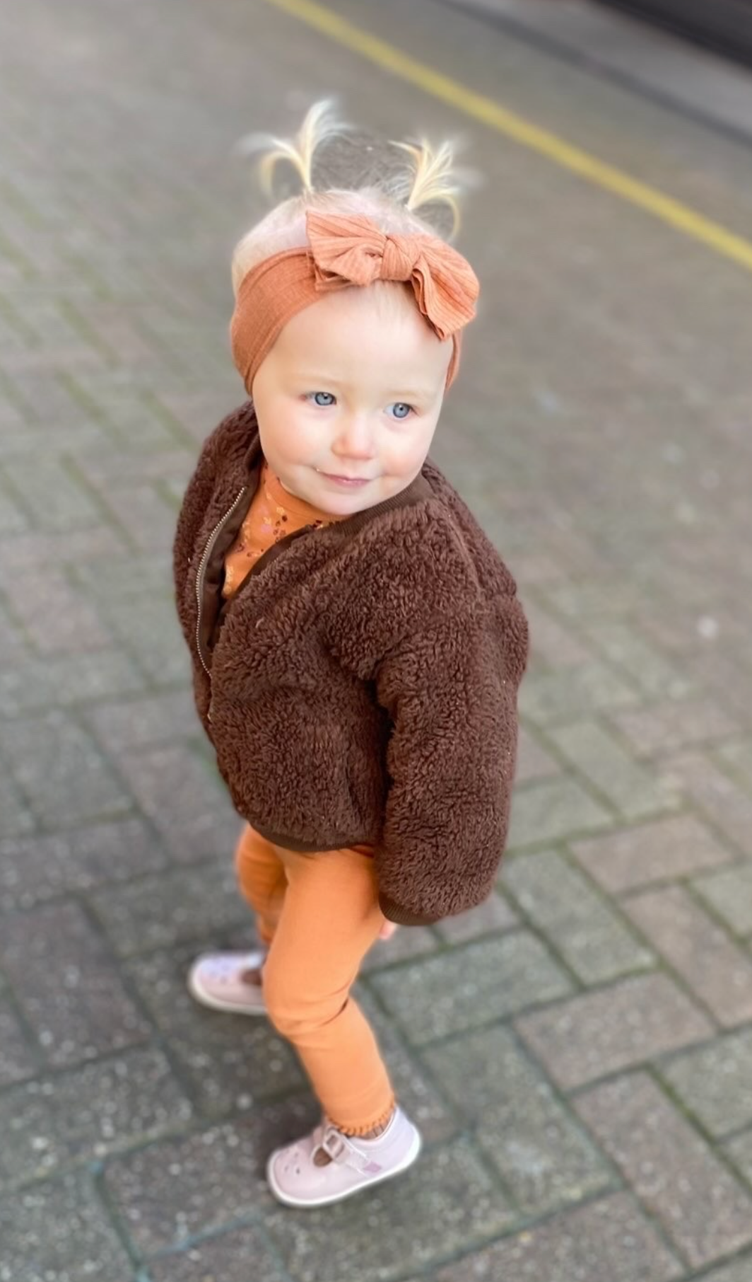 Chocolate Teddy Fleece